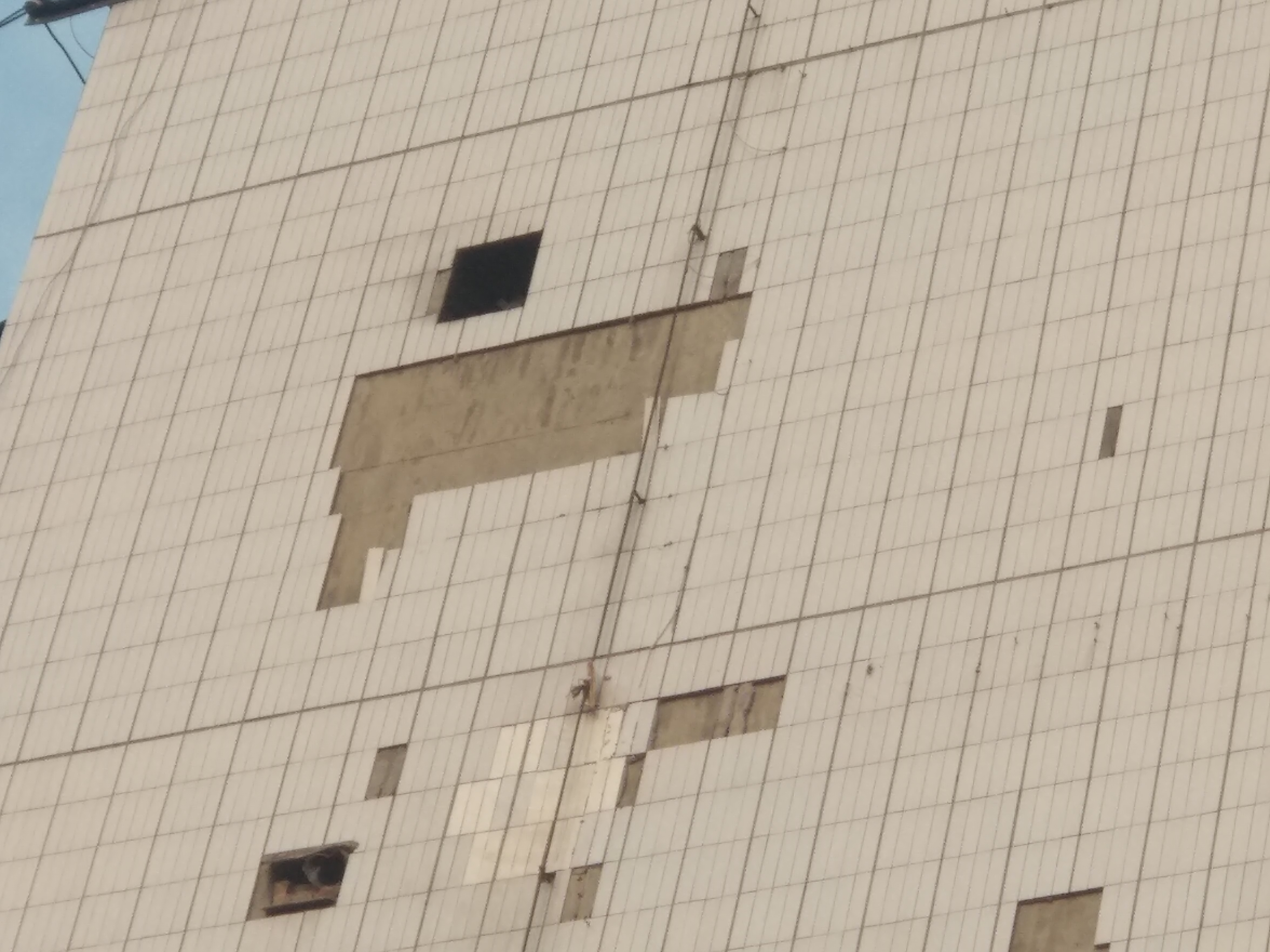 墙砖脱落(墙砖脱落最简单的修补方法) 墙砖脱落(墙砖脱落最简单的修补方法)